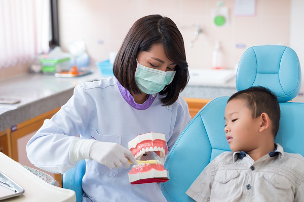 Pediatric Dentist